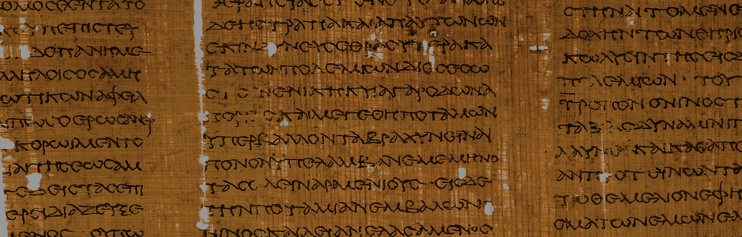 Imagen del papiro que contiene el texto de referencia.